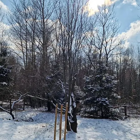Zlta Hébergement de vacances Jelenec