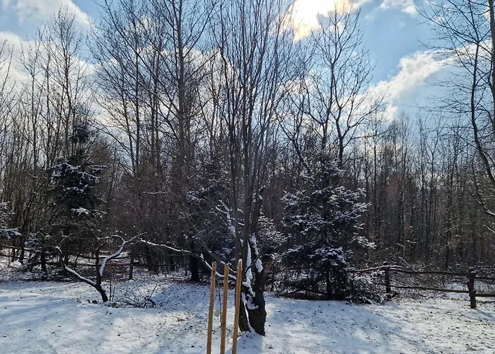 Zlta בית נופש Jelenec